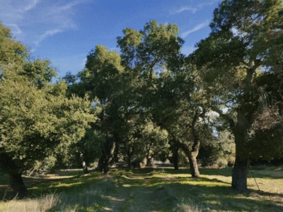 Stonepine Estate – Carmel Valley, CA